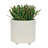 S/2 6/8" TEXTURED PLANTERS, SHINY WHITE