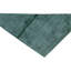 Hand Knotted Area Rug in Light Green