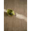 Caliche Silk Willow-1105298469