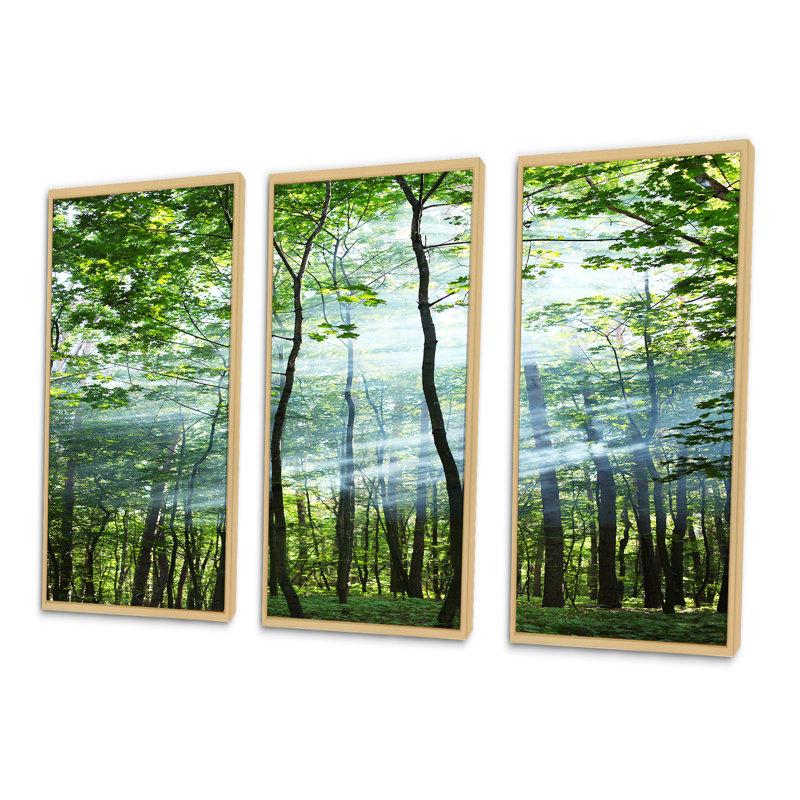 «Green Sunny Forest», photographie flottante sur toile 3 pièces, H 32 po x l 48 po x P 1 po, Érable encadré