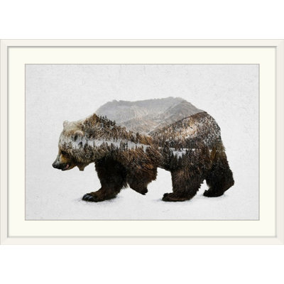 «The Kodiak Brown Bear», impression de Davies Babies