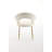 Meshea Dining Chair with Sleek Metal Legs-123099098-110480670