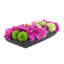 Orchid and  Arrangement-286518433-286518432