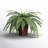 23'' Faux Fern Plant in Wicker/Rattan Pot