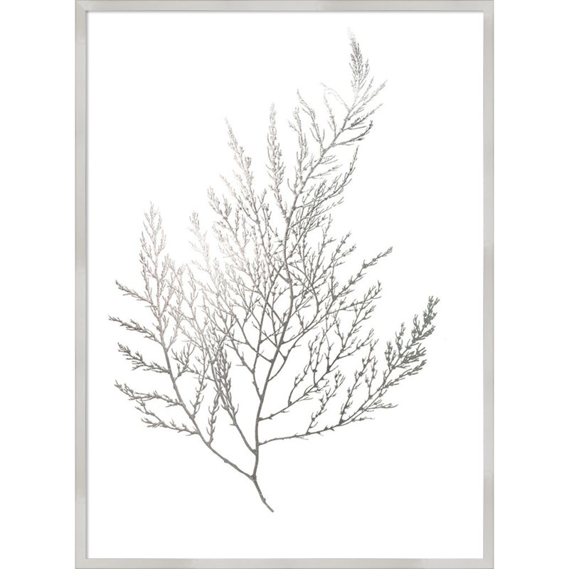 «Gray Algae II» par Jennifer Goldberger, reproduction d'art encadrée sur bois, H 41 po x l 31 po