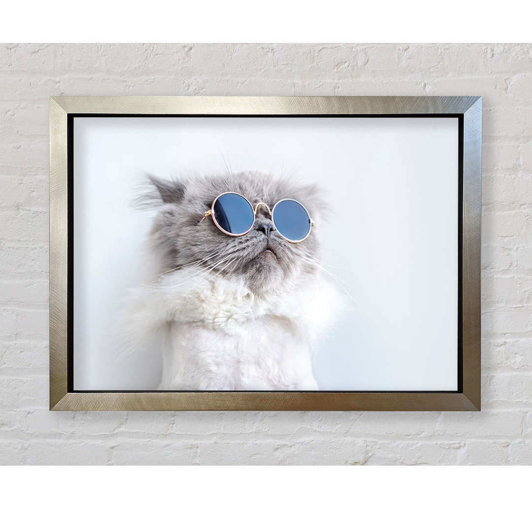 Die Katze mit der Brille - Druck