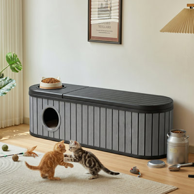 Armoire multifonctionnelle avec litière et rangement pour chat