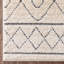 Malaga Moroccan Synthetic Area Rug-60066511