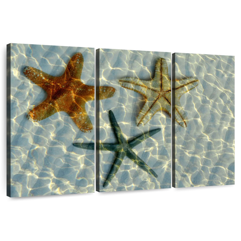 Brampt Underwater Trio Starfish, 32" H x 50" W