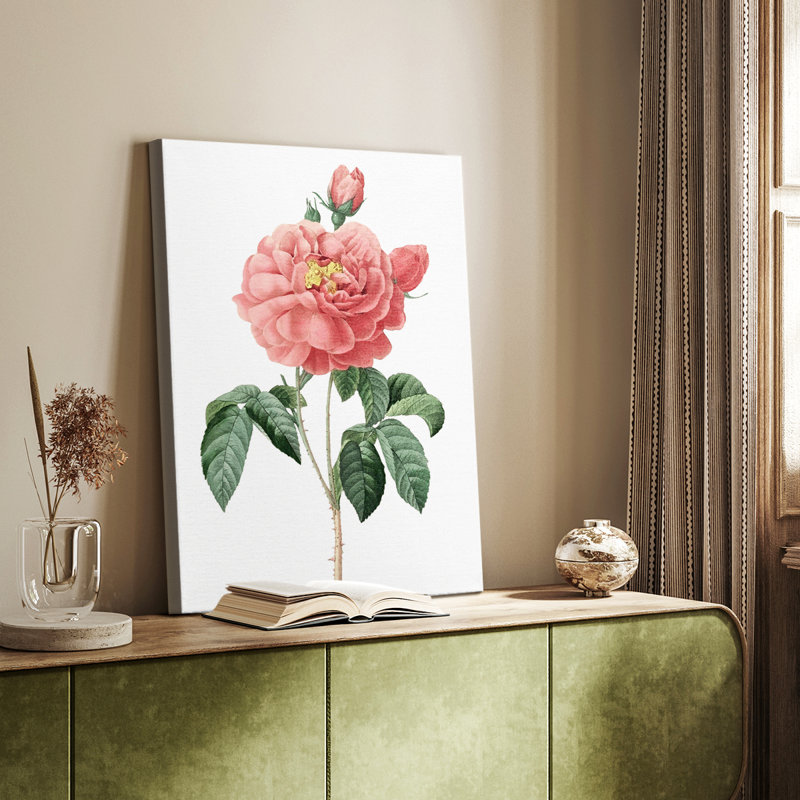 Botanical Beauty III - Gallery Cavas, H 18 po x l 12 po