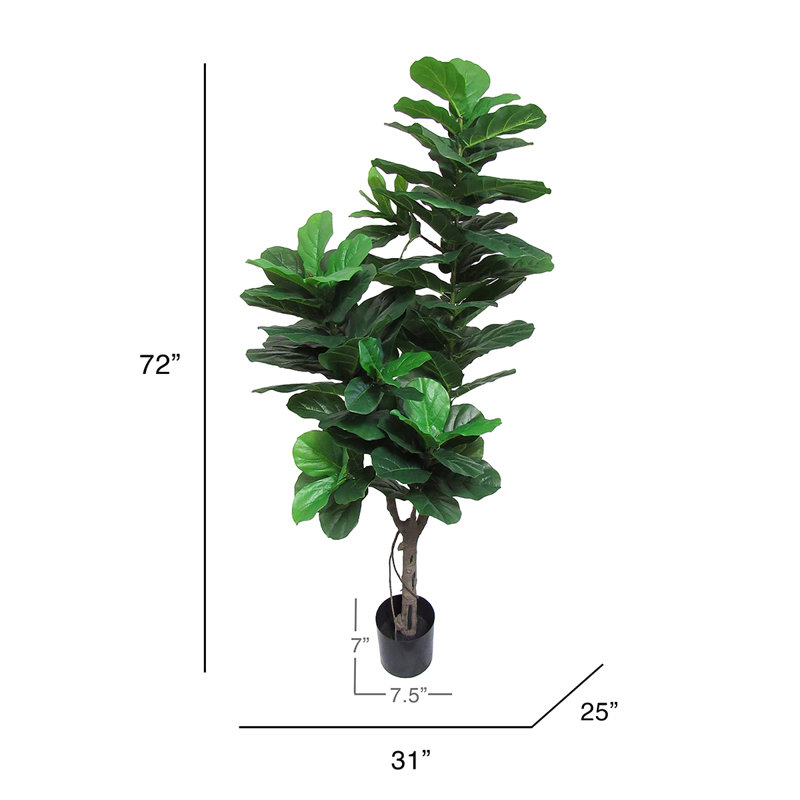72 " H Faux Fiddle Leaf Fig Plant and Tree in Plastic Pot