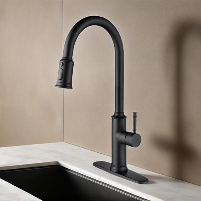 Kitchen Faucet With Pull Out Spraye