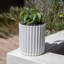 Pot à fleurs 6 "Veradek Demi Series-87809721-87893442