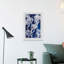 Jellyfish II - Single Picture Frame Print-192244639