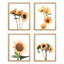 «Country Farm Summer Sunflower», ensemble de 4 impressions murales de jardin nature collage encadrées sur papier, impression de 4 pièces-93012322-93012320