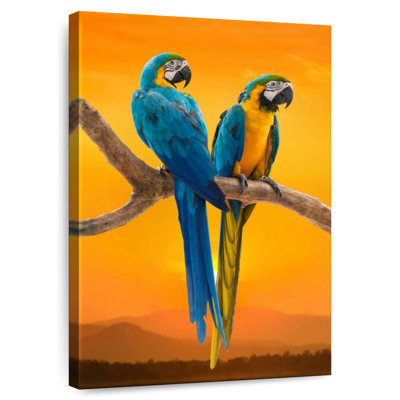 Brampt Sunset Macaw