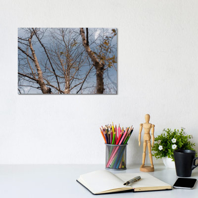 Autumn Trees 1 Piece Wrapped Canvas Wall Art