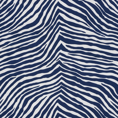 Iconic Zebra Fabric