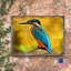 Bloc de bois Giffin Bird-1861448219