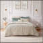 Ensemble de housse de couette en velours 3 pièces PCS simple / simple TG