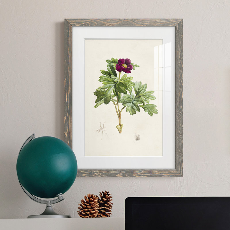 «Pretty Botanicals III», cadre photo, Encadré gris, H 20 po x l 17 po x P 1 po