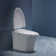 Micro Intelligent Toilet, heated seat cushion, button pulse flushing, night light modern toilet, stylish and elegant, easy to use. (No remote control)