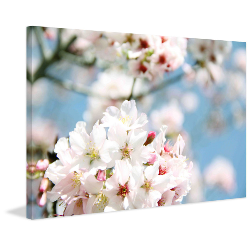 Dreaming Of Spring by Irena Orlov - Wrapped Canvas Print, 41 cm H x 61 cm W