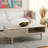 Aveneet Coffee Table-1912161102