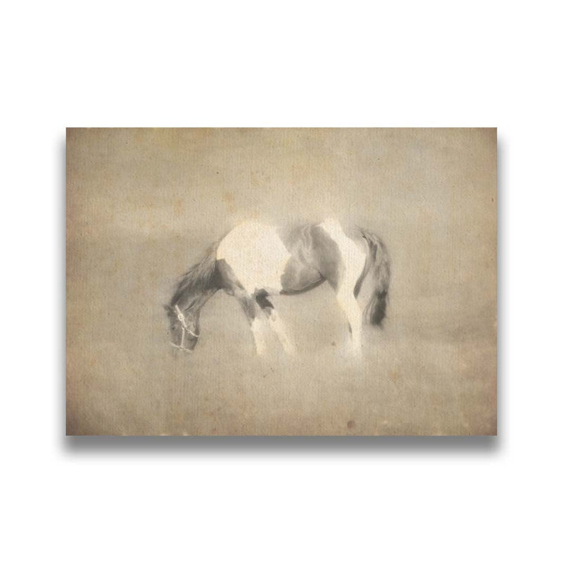 Painted Horse par Hal Halli. Toile giclée sur toile tendue avec cadre flottant, H 36,5 po x l 48,5 po, Noir