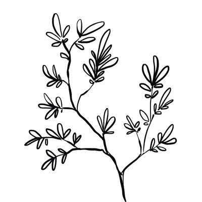 " Leafy Branch "