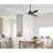 Whitehaven 56" Smart WiFi Indoor/Outdoor DC Ceiling Fan with Remote, Damp Rated, Black Modern Ceiling Fan-69556331-67499160