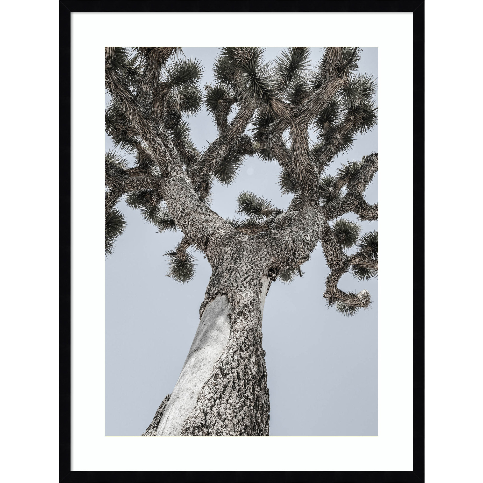 Joshua by Shot by Clint Wood Framed Wall Art Print, Black , 33" H x 25" W