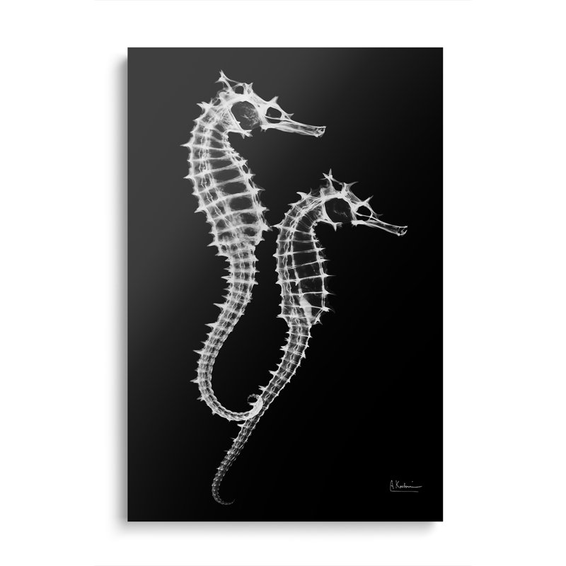Reproduction d'art mural sur toile en métal «Stehorix Twins on Black» par Albert Koetsier