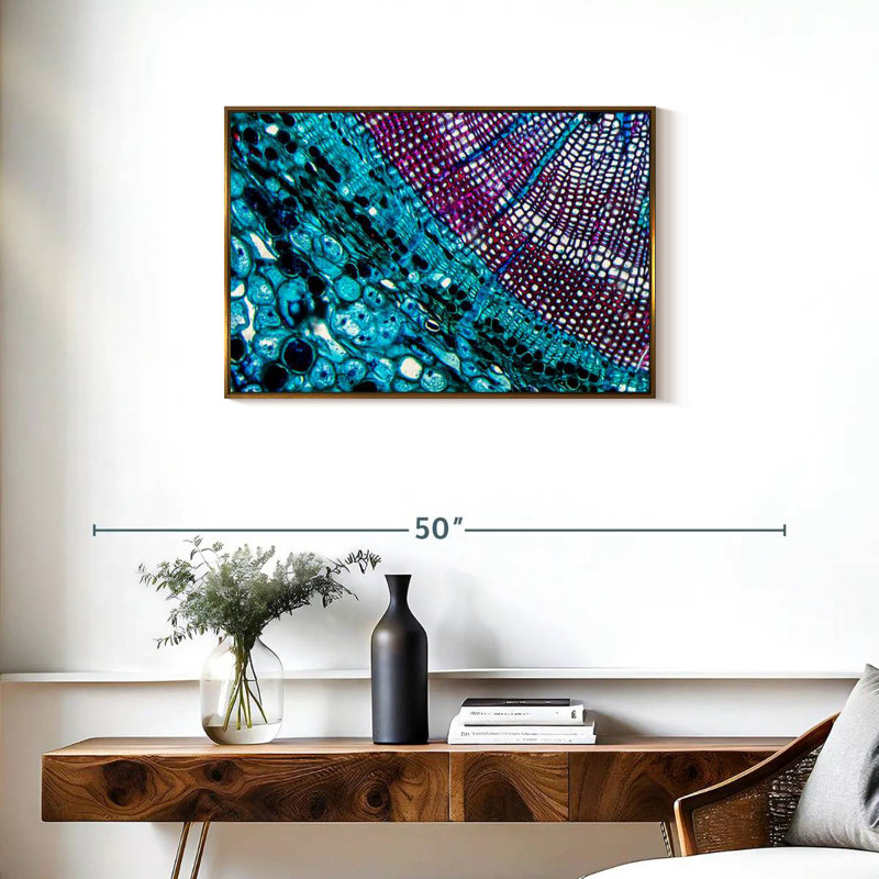 Pine Stem Under Microscope, Floating Frame Gold, 31" X 21"