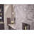 Dartmoor Posi-temp Eco Shower Faucet with Lever-19157754