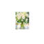 «White Dasiy in Vase»