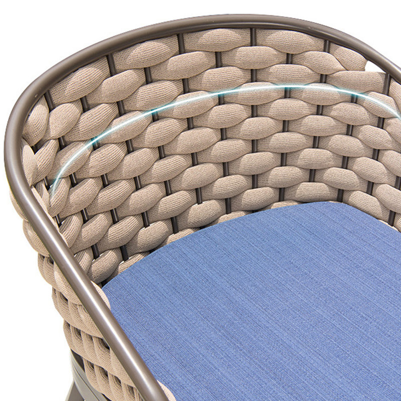Nalene Outdoor Lounge Chair