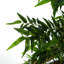 Faux Bamboo Tree in Pot Liner-88980151
