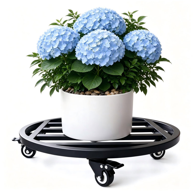 Q235 Plant Carts, 6 cm H x 50 cm W x 50 cm D