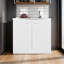Armoire de rangement Extremo avec 2 portes et 3 tablettes, blanc