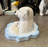Peeking Baby Polar Bear Cub Statue