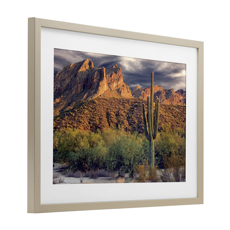 «Tall And Strong Cactus View», reproduction encadrée sous verre, conception de Mike Jones, Cadre de récolte en pin