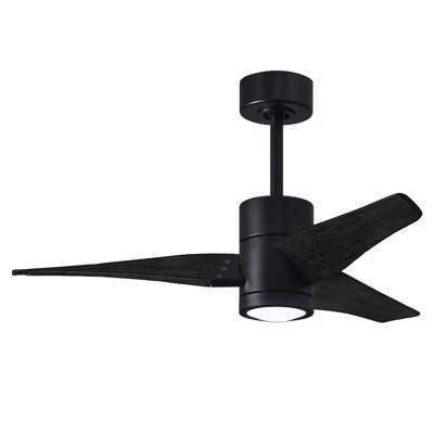 Ceiling Fan with LED Lights
