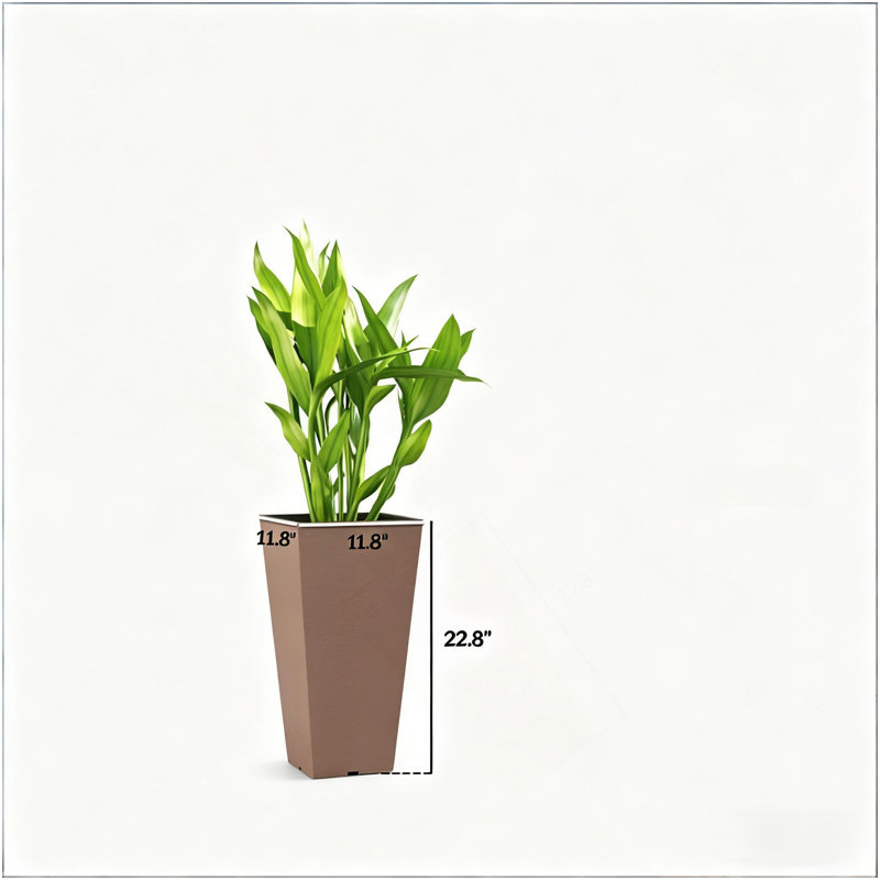 Jardinières chics, ensemble de 2 jardinières à fleurs, jardinières hautes d'extérieur, Brown