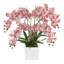 Pink Orchids Arranges in Square Fiberstone Planter
