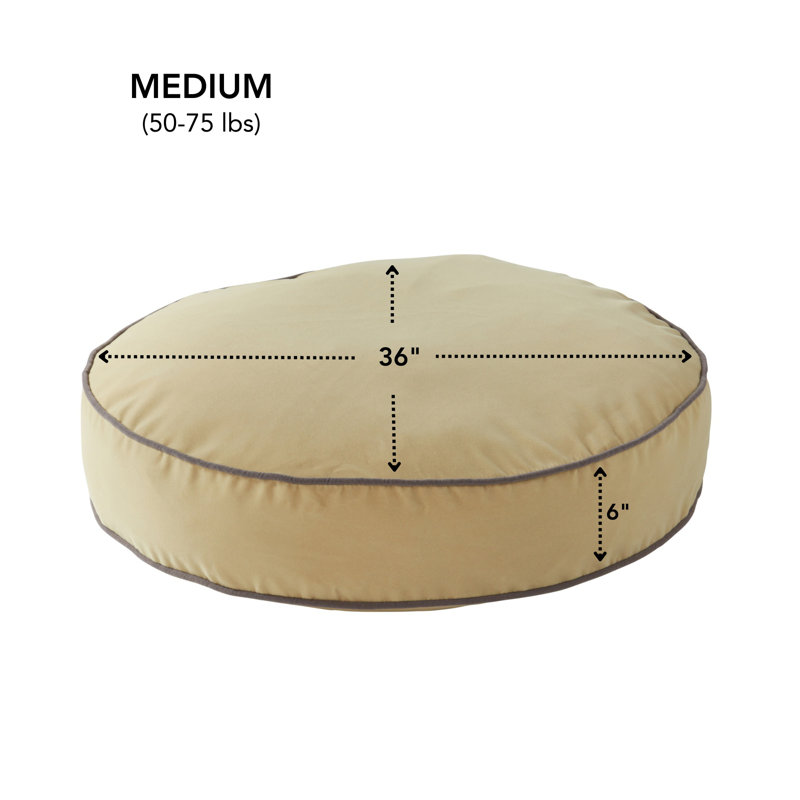 Lit pour chien Buckhead, Moyen (l 36 po x P 36 po x H 6 po), Crème au beurre