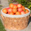 Panier à linge en bois manufacturé rond-1222857164