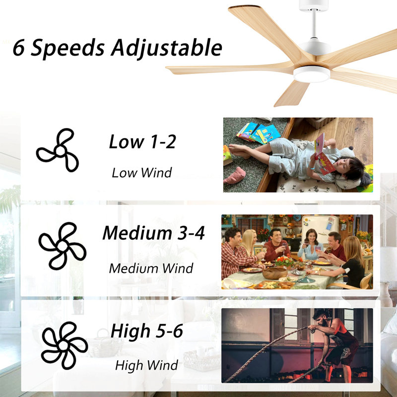 60-Inch Ceiling Fan With Light, 5 Solid Wood Blades, Downrod Mount For Sloped Ceiling =15°, Quiet Reversible DC Motor, APP & Remote Control, 6 Speeds, Timer, Dimmable Full-Spectrum LED