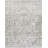 Westbrook Oriental Machine Woven Area Rug in Gray-1717856324