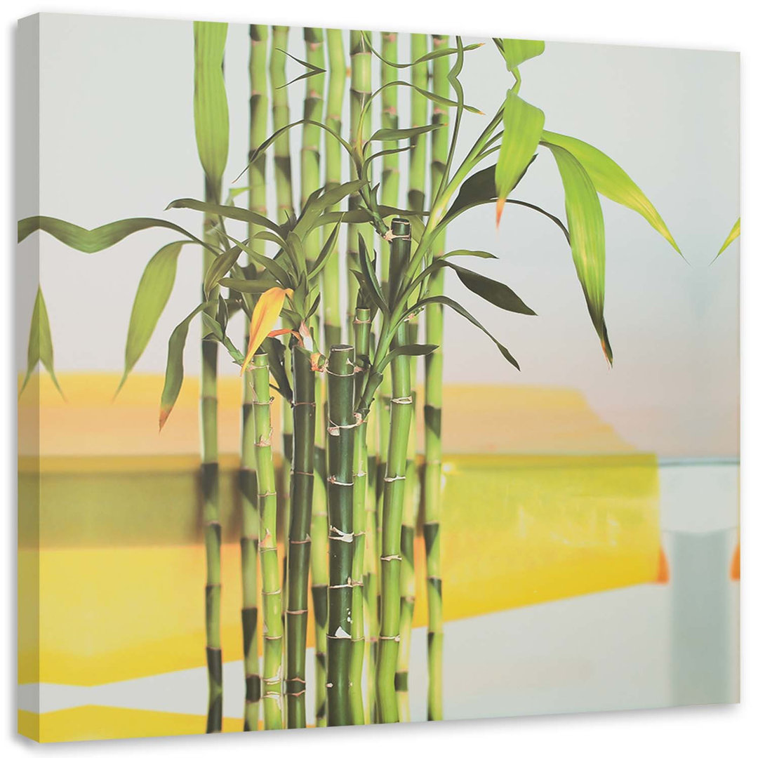 Leinwandbild Some Green Bamboo 16127